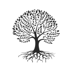 Autonomy